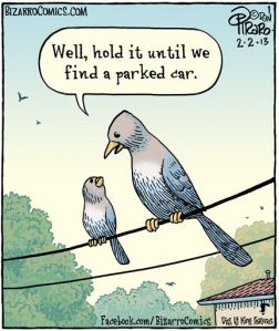 parked car